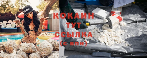 кокс Алзамай