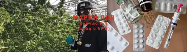 кокс Алзамай